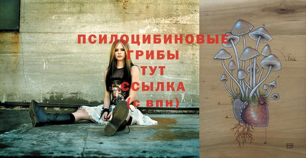 mix Бородино