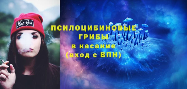 mix Бородино