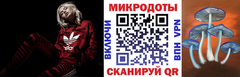 Галлюциногенные грибы Psilocybe Острогожск